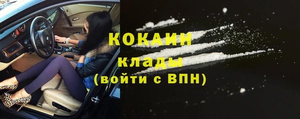 spice Алзамай