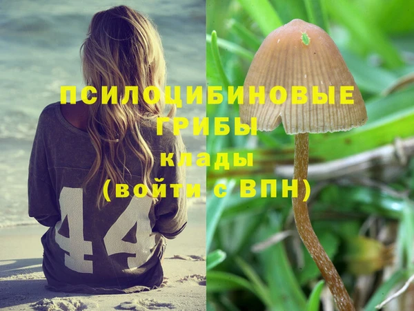 первитин Алексеевка