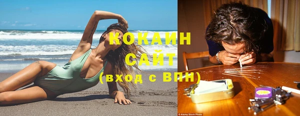 ГАЛЛЮЦИНОГЕННЫЕ ГРИБЫ Медвежьегорск